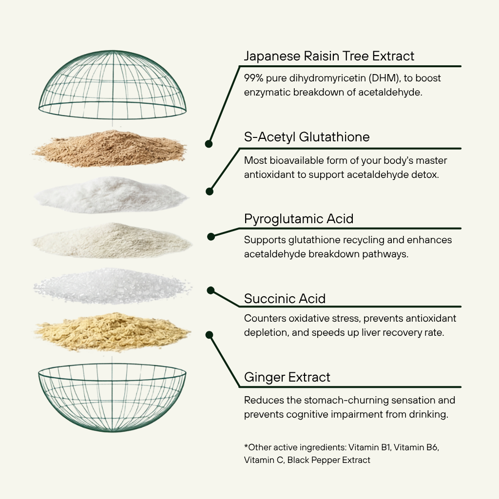 Complete Alcohol Defence (6-Pack)